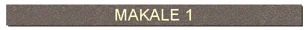 MAKALE 1