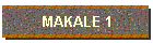 MAKALE 1