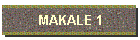 MAKALE 1