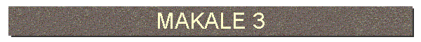 MAKALE 3