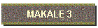 MAKALE 3