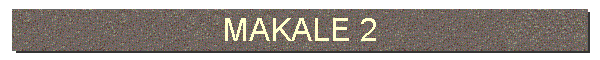 MAKALE 2