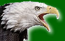 GO EAGLES!
