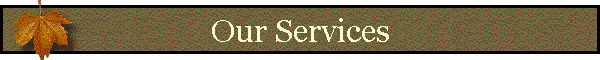 Our Services