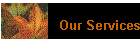 Our Services
