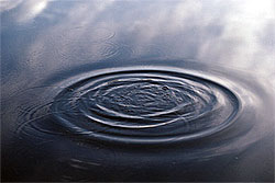  The mind is like a lake,the surface broken by ripples of thoughts.