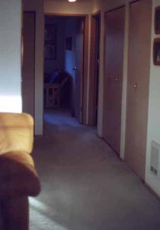 Looking into second bedroom/office