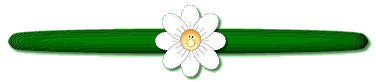 May the sun shine on your day