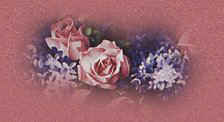 Our lives continue to grow together