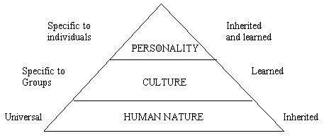 Levels of Human Mental �Programming�