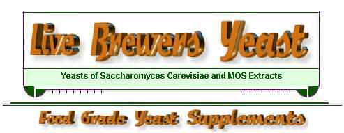 Brewers Yeast