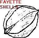 fayshlt