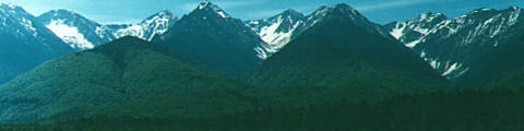 Plenty of landscapes from Carpathians