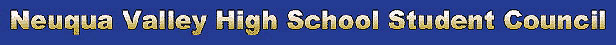 Neuqua Valley High School Student Council
