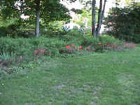 garden.jpg (83761 bytes)