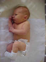 Jack doing the Macarena.jpg (36336 bytes)