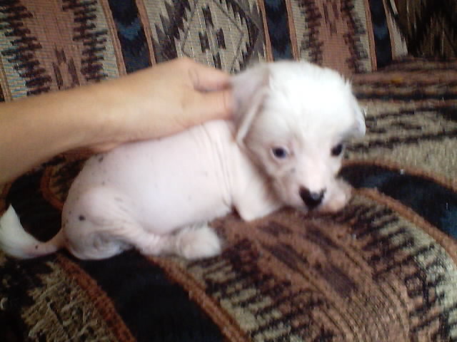 Boy 5 weeks
