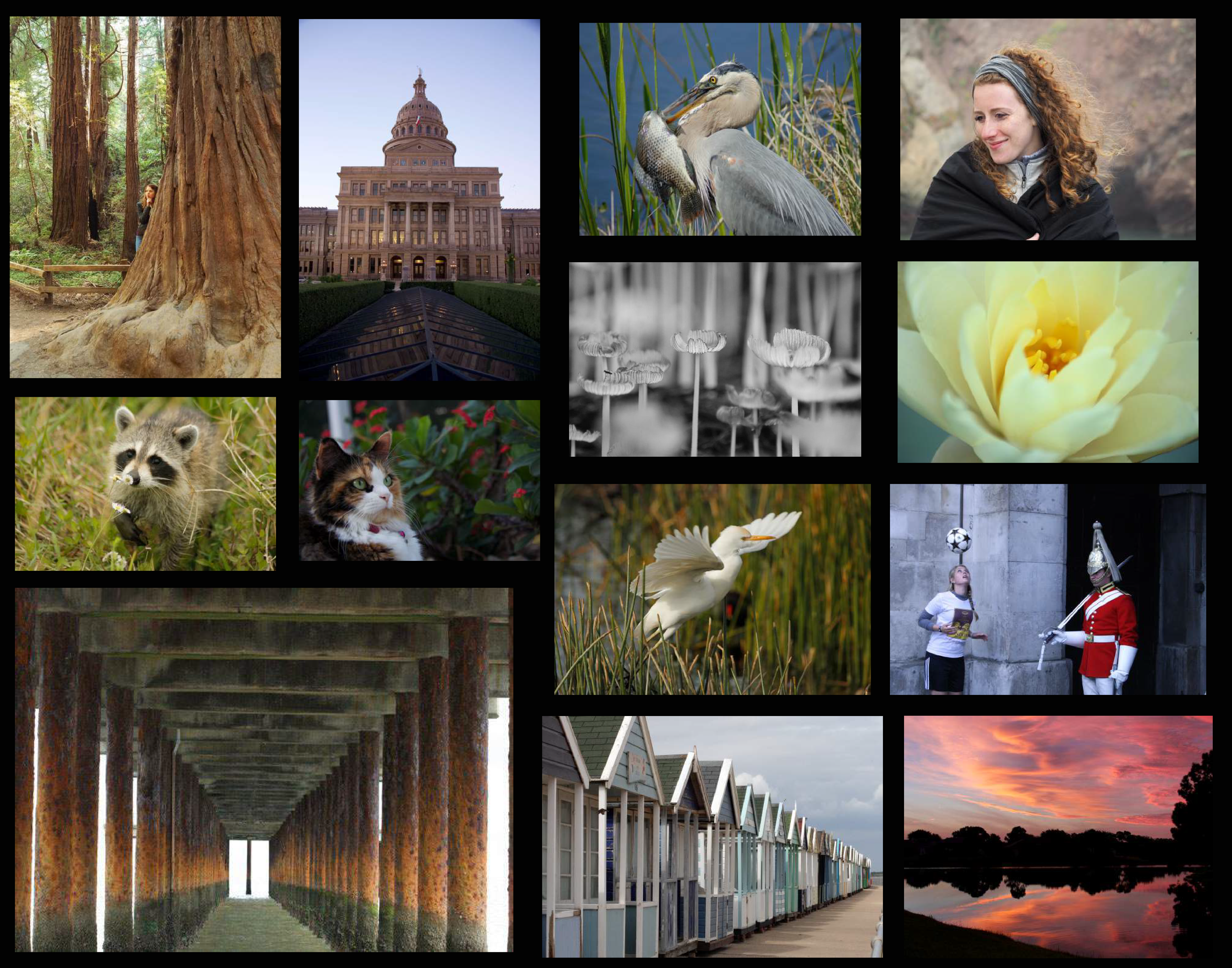 Photo Collage