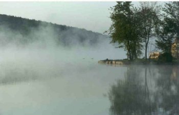 Wawayanda Lake Fog