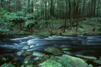 brook, Clinton Road, West Milford,NJ