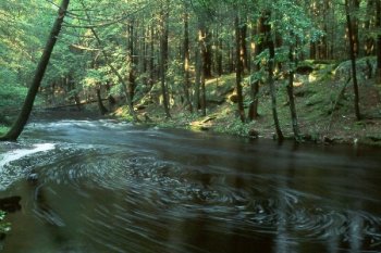 Brook, Clinton Road, West Milford, NJ