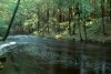 Brook, Clinton Road, West Milford, NJ
