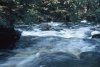 Wawayanda brook
