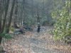 Laurel Pond Trail