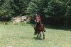 henry on junior