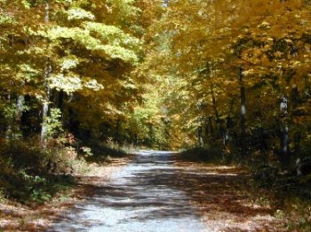 Old Wawayanda Road