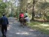 On their way into the park