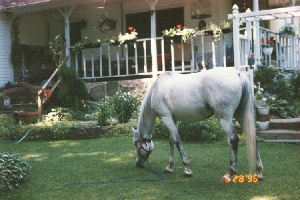 1996