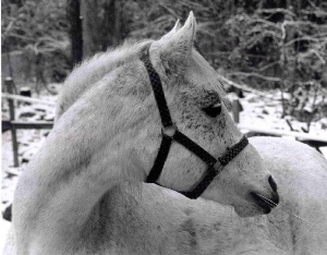 b&w 1997