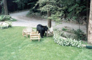 Looking for a place to sit down