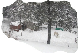 barn