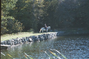 overlookingdam
