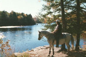 overlooking lake