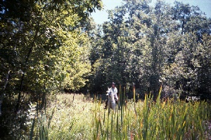 tall grass / bear country