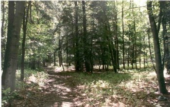 Banker Trail