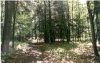 Banker Trail 
