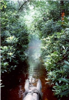 Double Pond 
