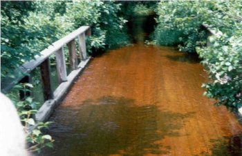 water over bridge