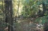 coming down trail