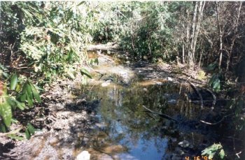 water on trail 