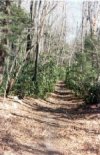 Banker Trail