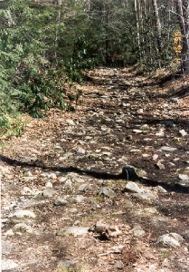 Leslie ahead of me