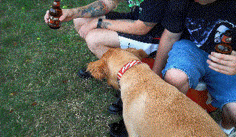 drunkamaniapics010.jpg