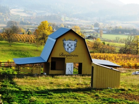 The barn at Bergstrom