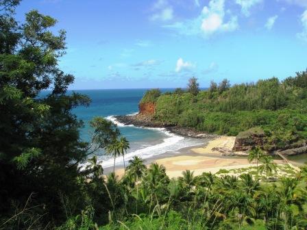 Paradise at the National Tropical Botanical Gardens