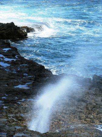 Spouting Horn blows!!!